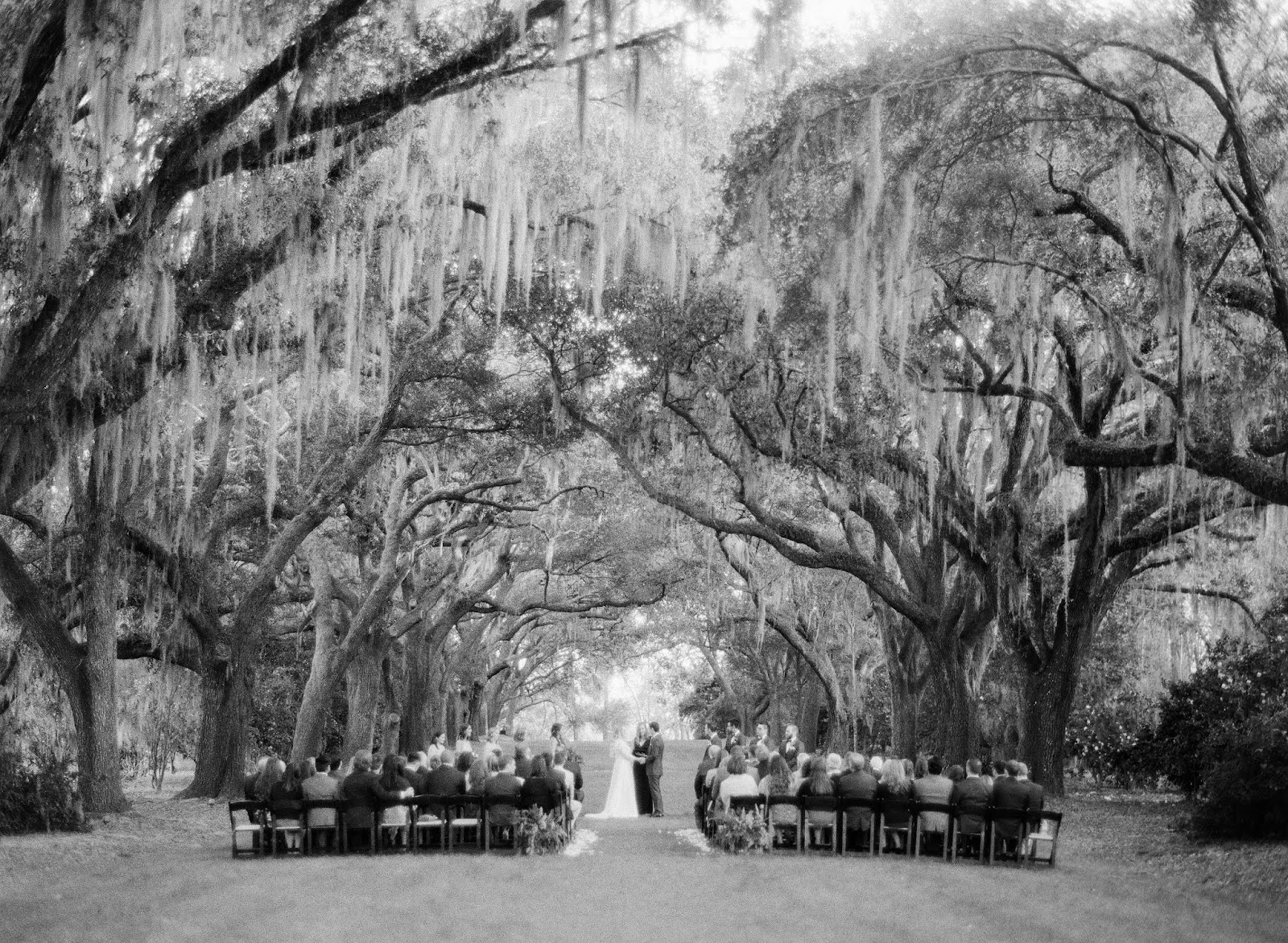 Fabulous Fête — Wedding Pro in Downtown, Charleston, SC