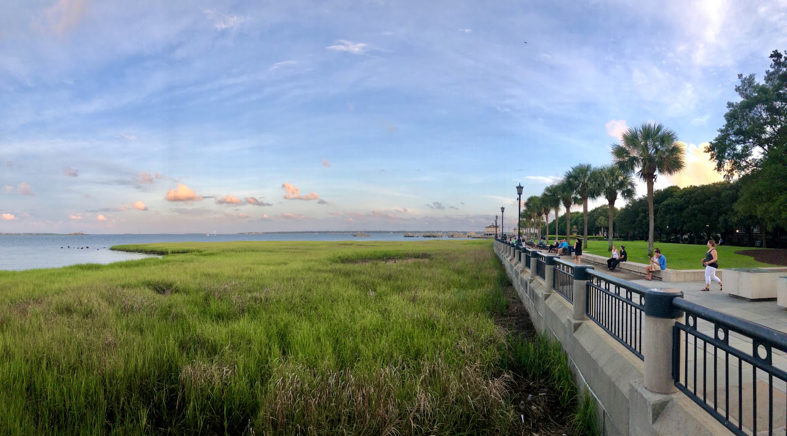 Waterfront Swings — Activity in Downtown, Charleston, SC