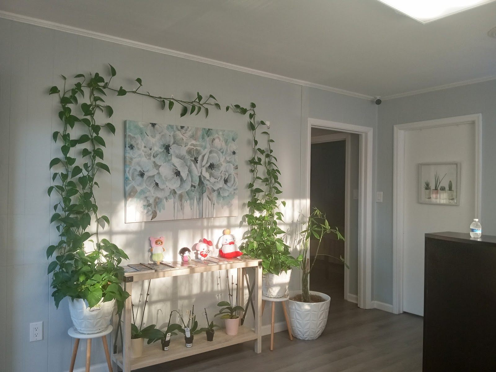 M Spa — Wellness Spot in North Charleston, Charleston, SC