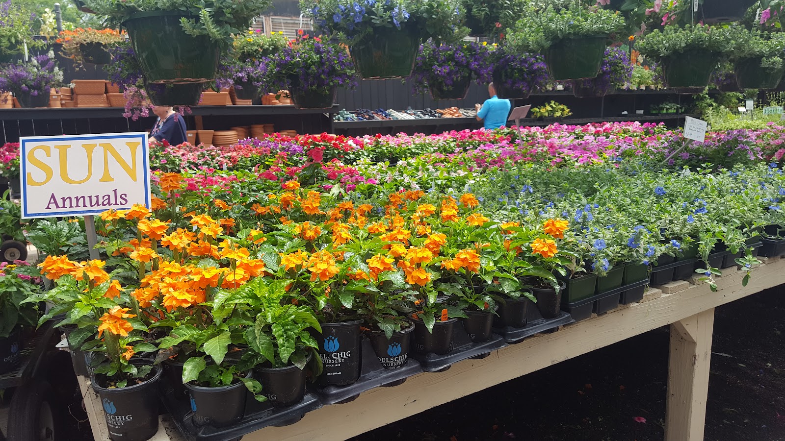 Hyams Garden & Accent Store — Shop in James Island, Charleston, SC