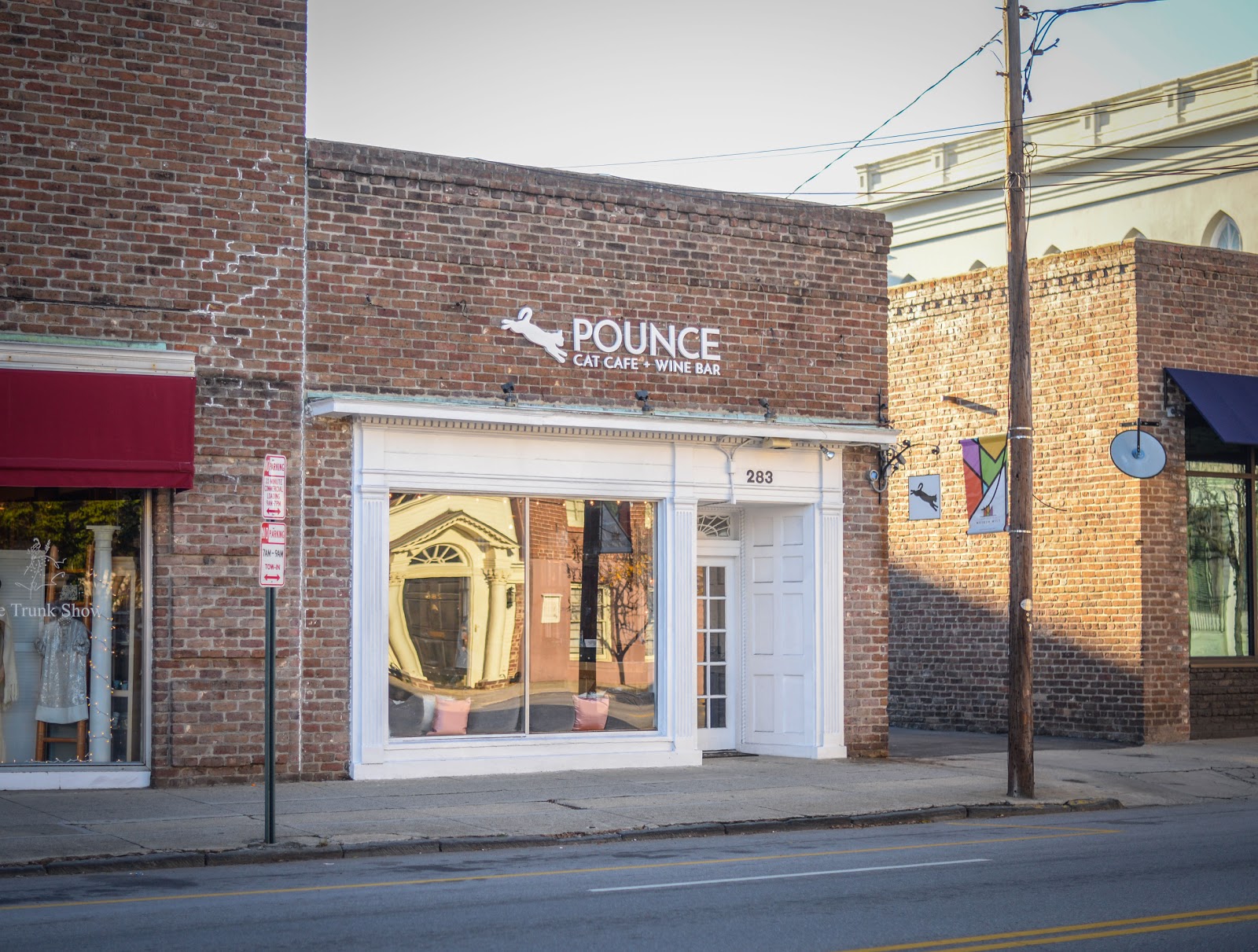 Pounce Cat Cafe + Wine Bar — Bar in Downtown, Charleston, SC