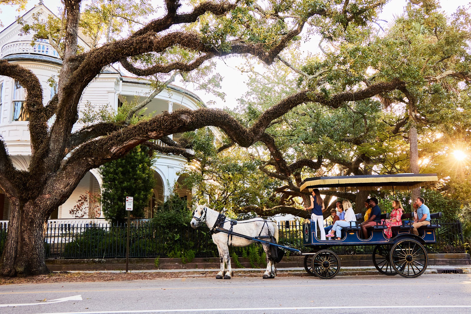 Palmetto Carriage Works — Things To Do in downtown