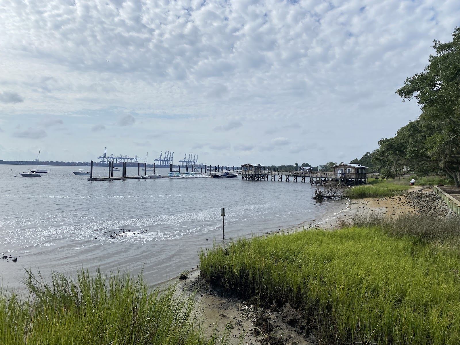 Daniel Island — Neighborhood in Charleston, SC