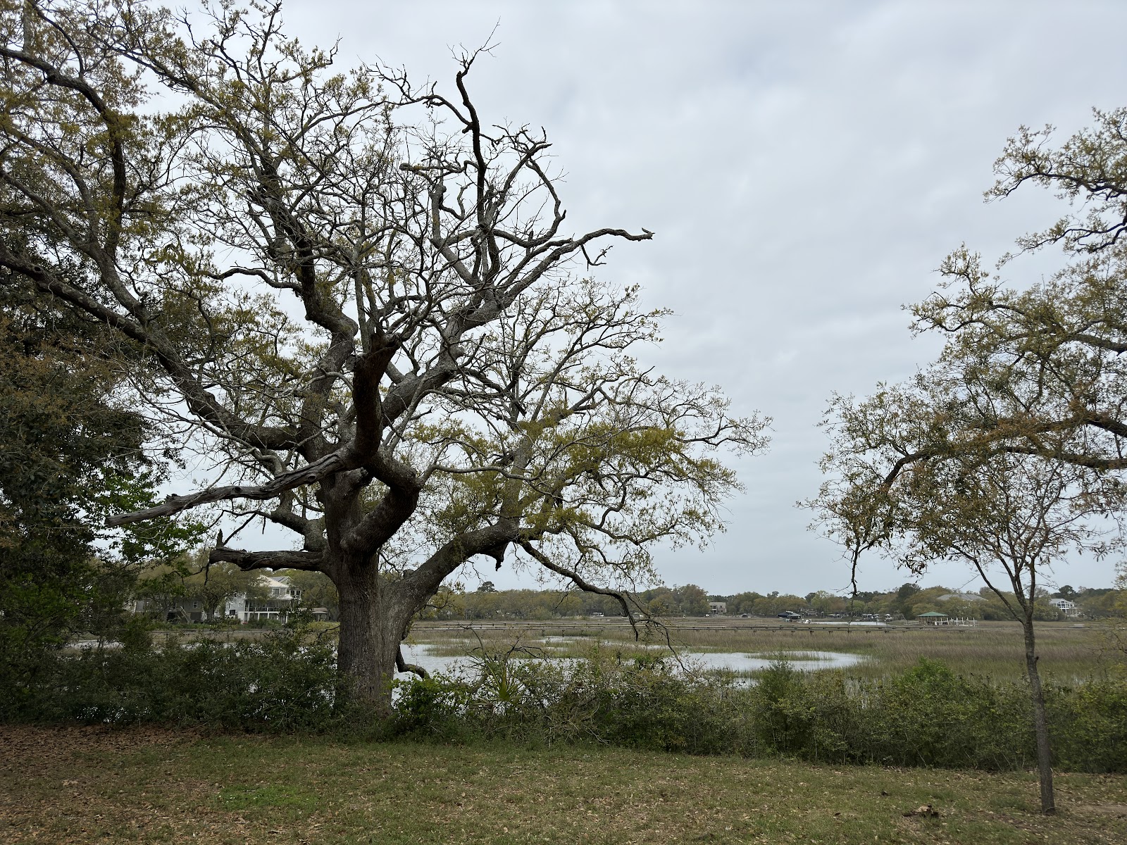 Dock Street Park — Activity in James Island, Charleston, SC