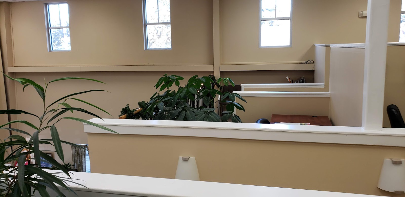 AgentOwned Realty — Real Estate Pro in Charleston, SC