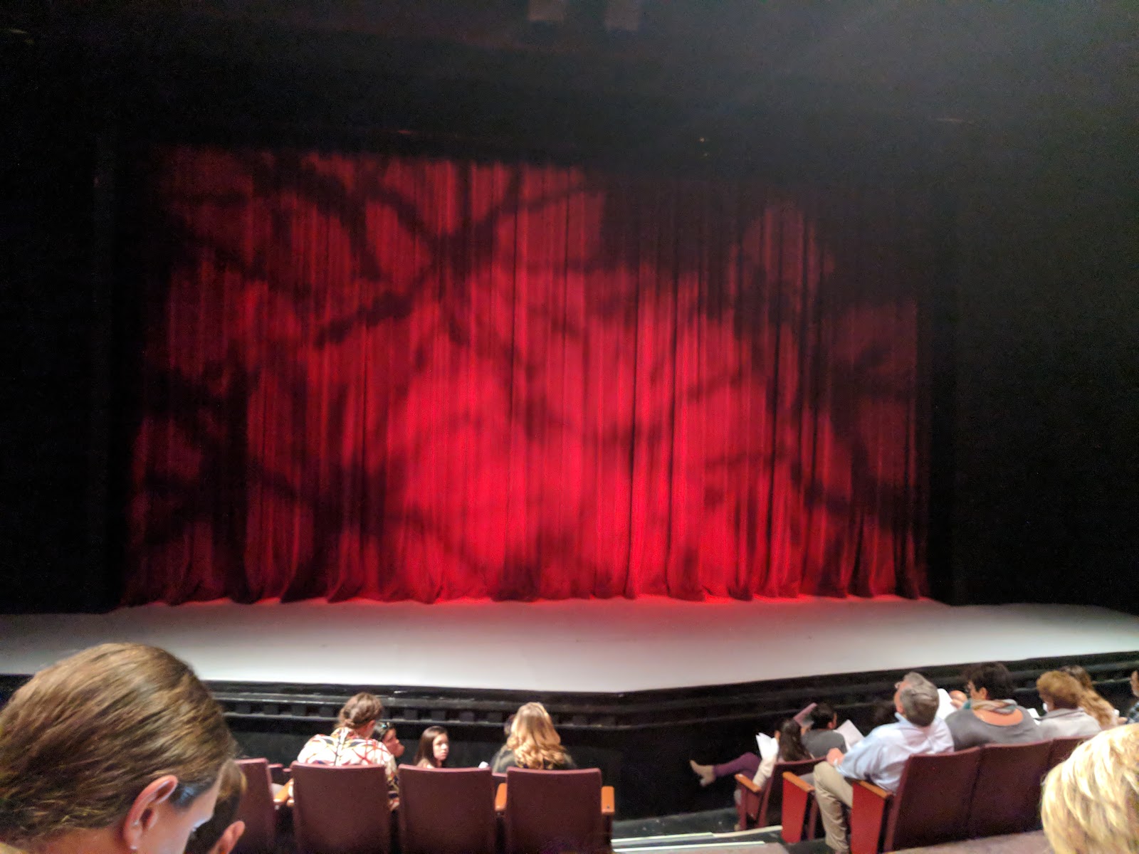 Emmett Robinson Theatre - College of Charleston — Music Venue in Downtown, Charleston, SC