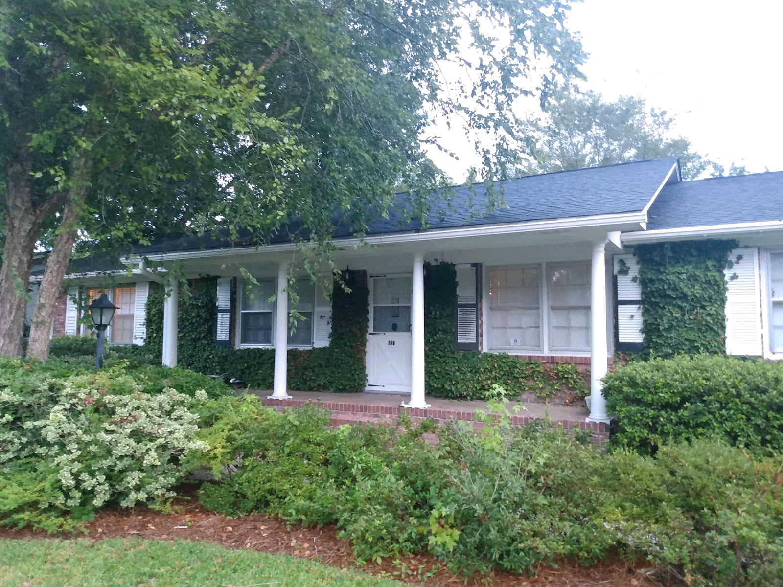 Dianne Rodgers-Peters Real Estate Agent — Real Estate Pro in Charleston, SC
