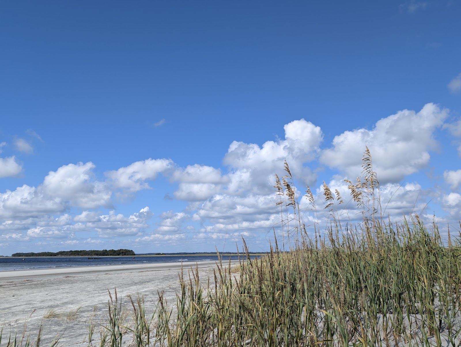 Folly Beach County Park — Activity in Folly Beach, Charleston, SC