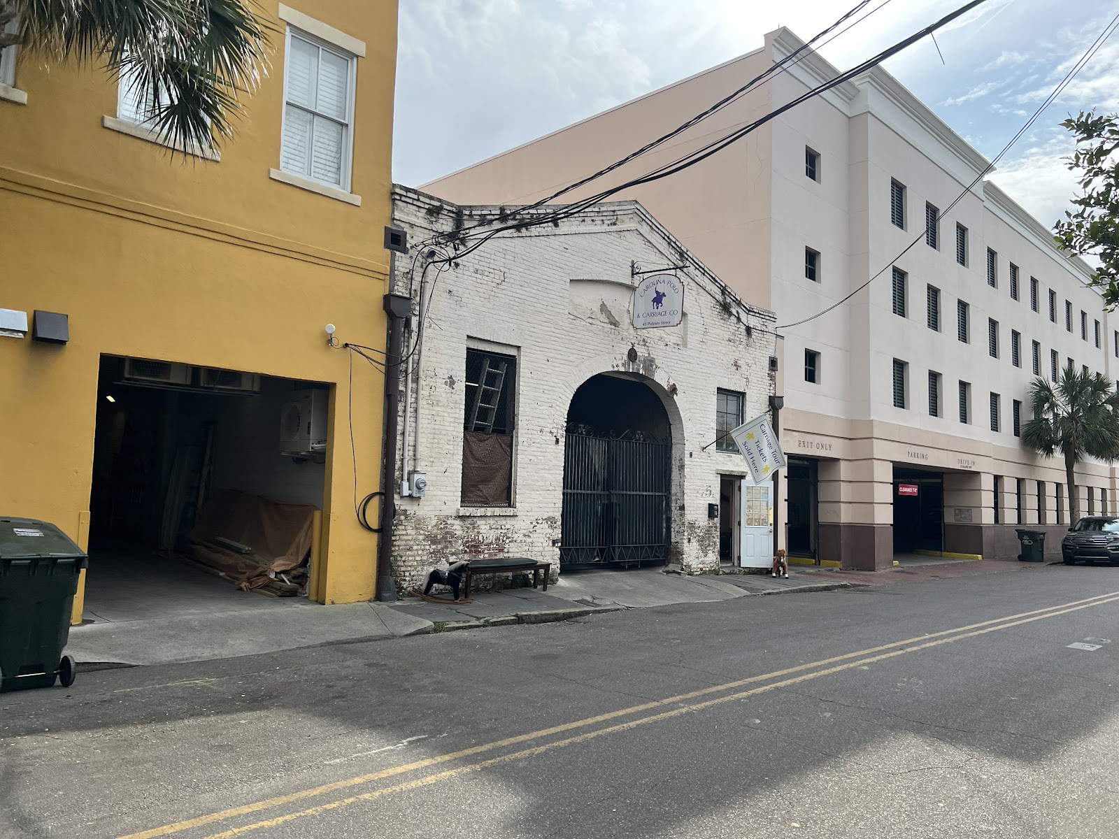 Carolina Polo and Carriage Co. — Activity in Downtown, Charleston, SC