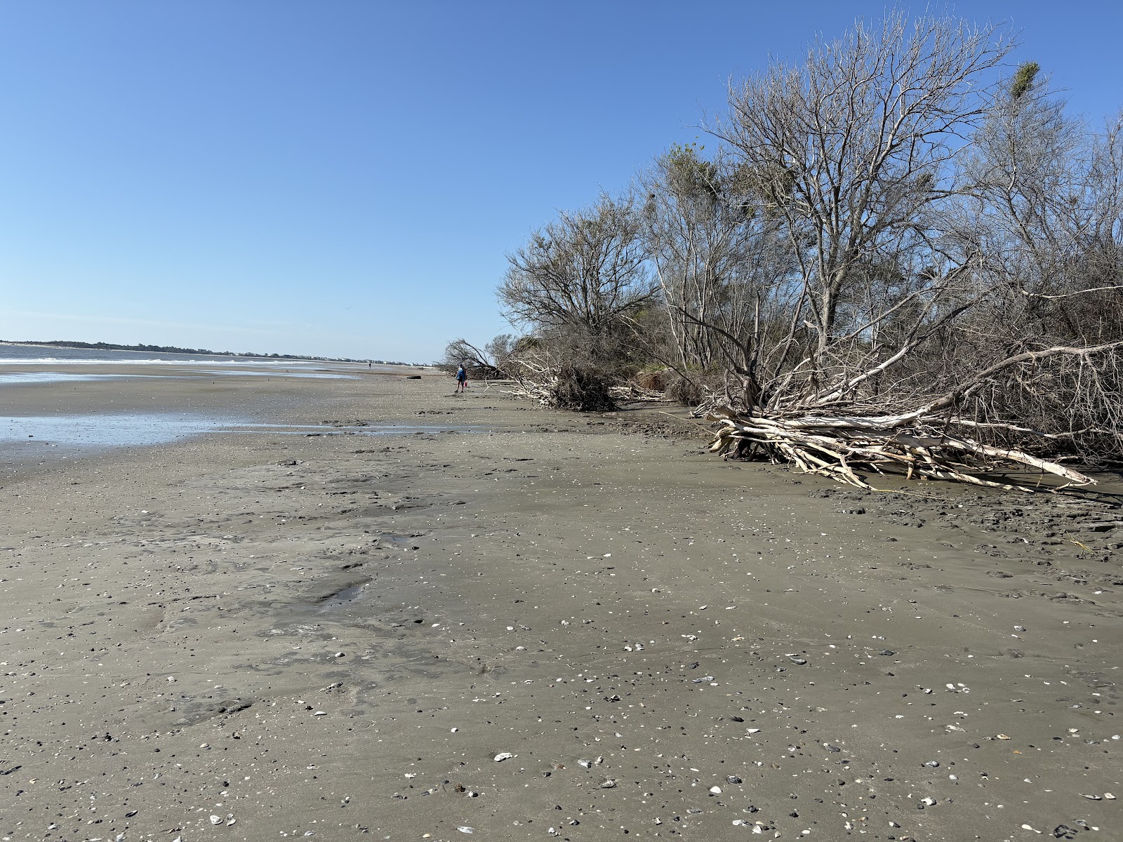 Castaway Island Excursions — Activity in Folly Beach, Charleston, SC