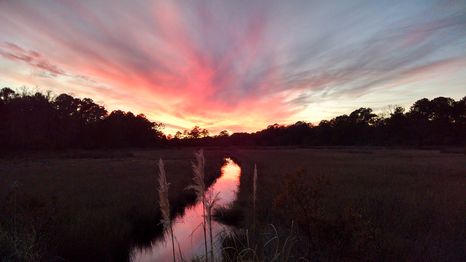 Wadmalaw Island — Beach in Wadmalaw Island, Charleston, SC