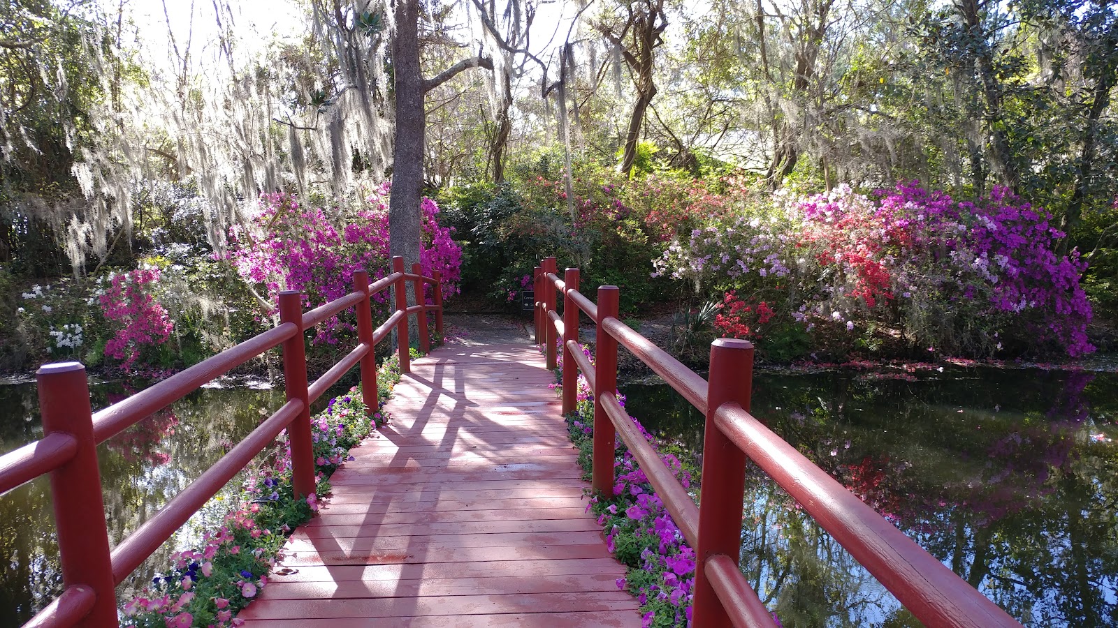 Magnolia Plantation Gardens — Activity in Hanahan, Charleston, SC