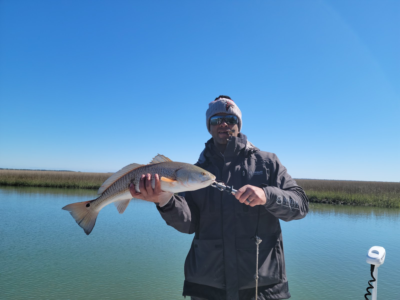 Knot Stressed Inshore Charters — Activity in Shem Creek, Charleston, SC