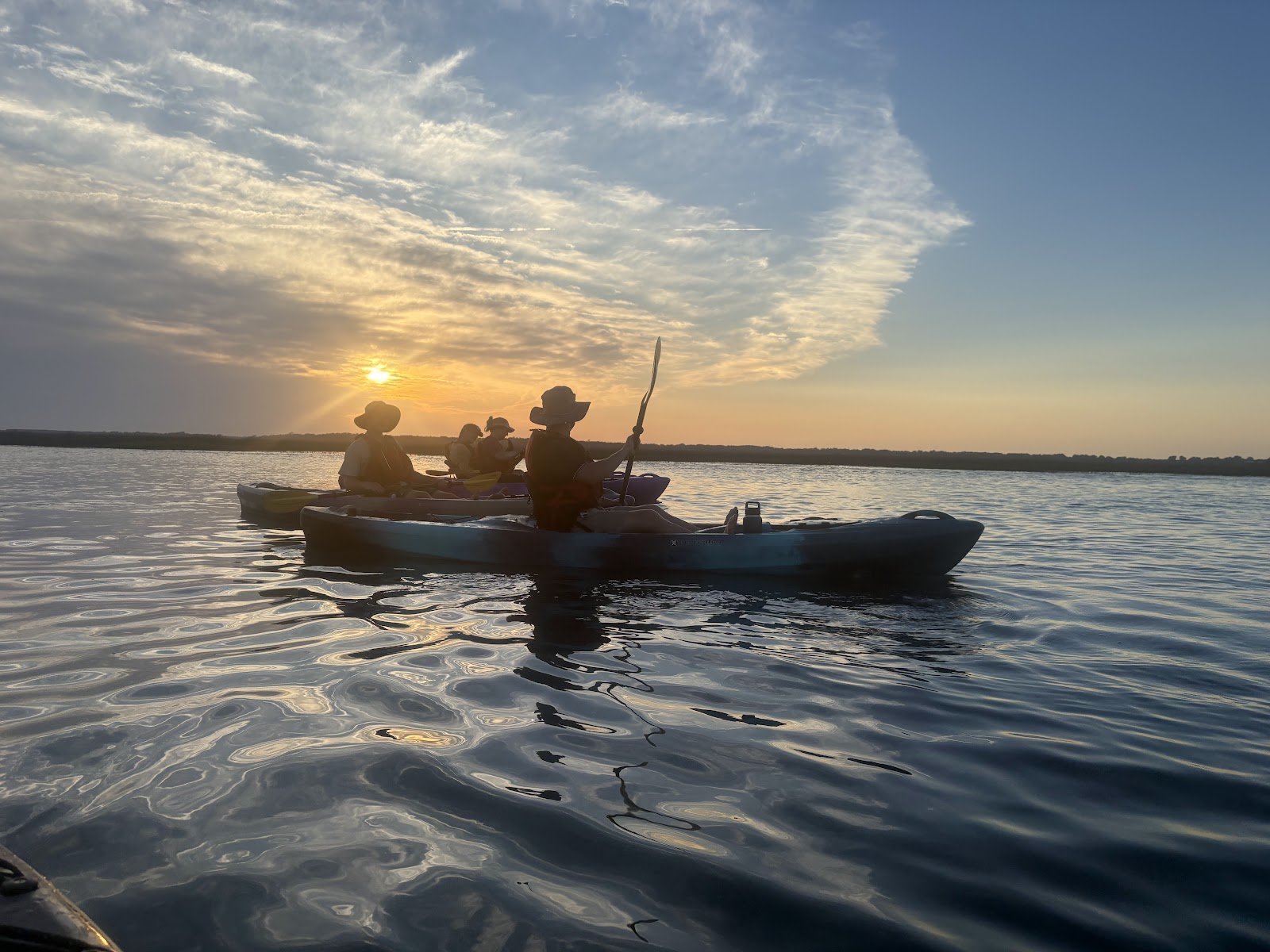 Charleston SUP Safaris — Things To Do in folly