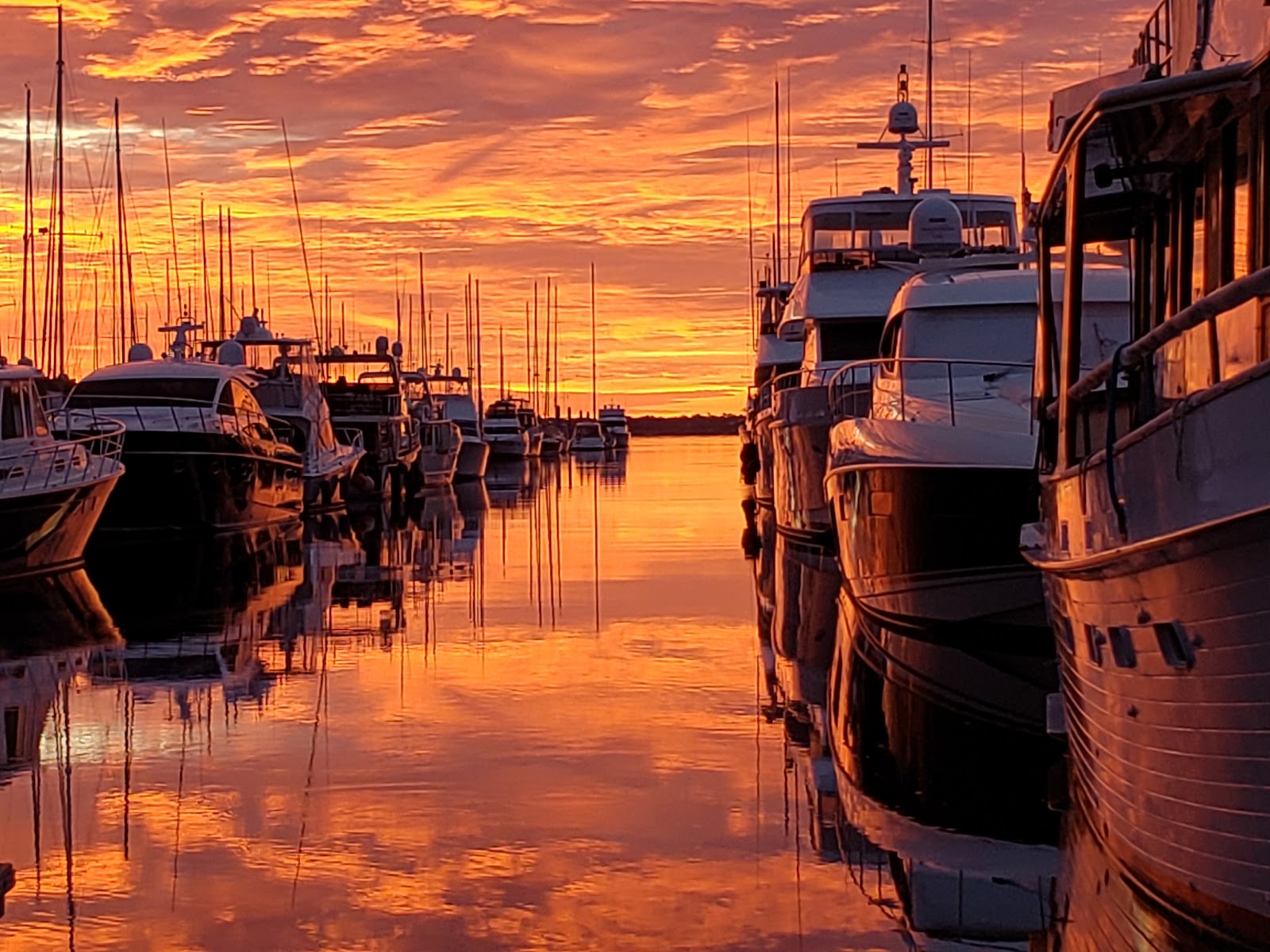 Safe Harbor Charleston City — Boating Spot in Downtown, Charleston, SC