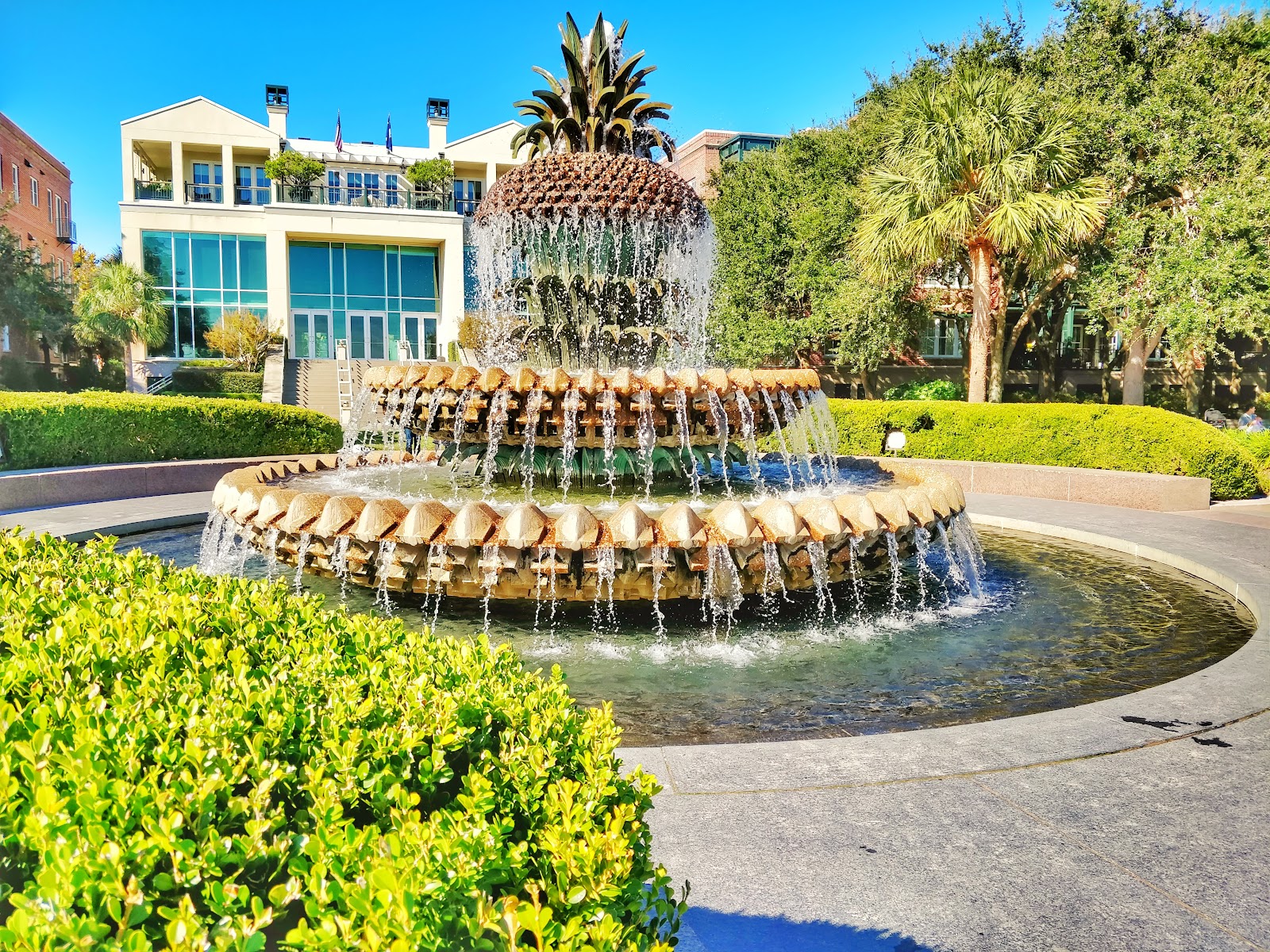 Waterfront Park — Activity in Downtown, Charleston, SC