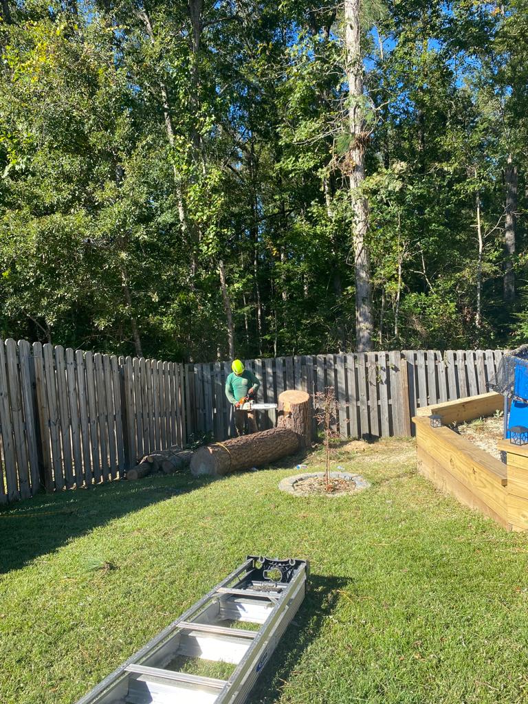 Johns Island — Neighborhoods