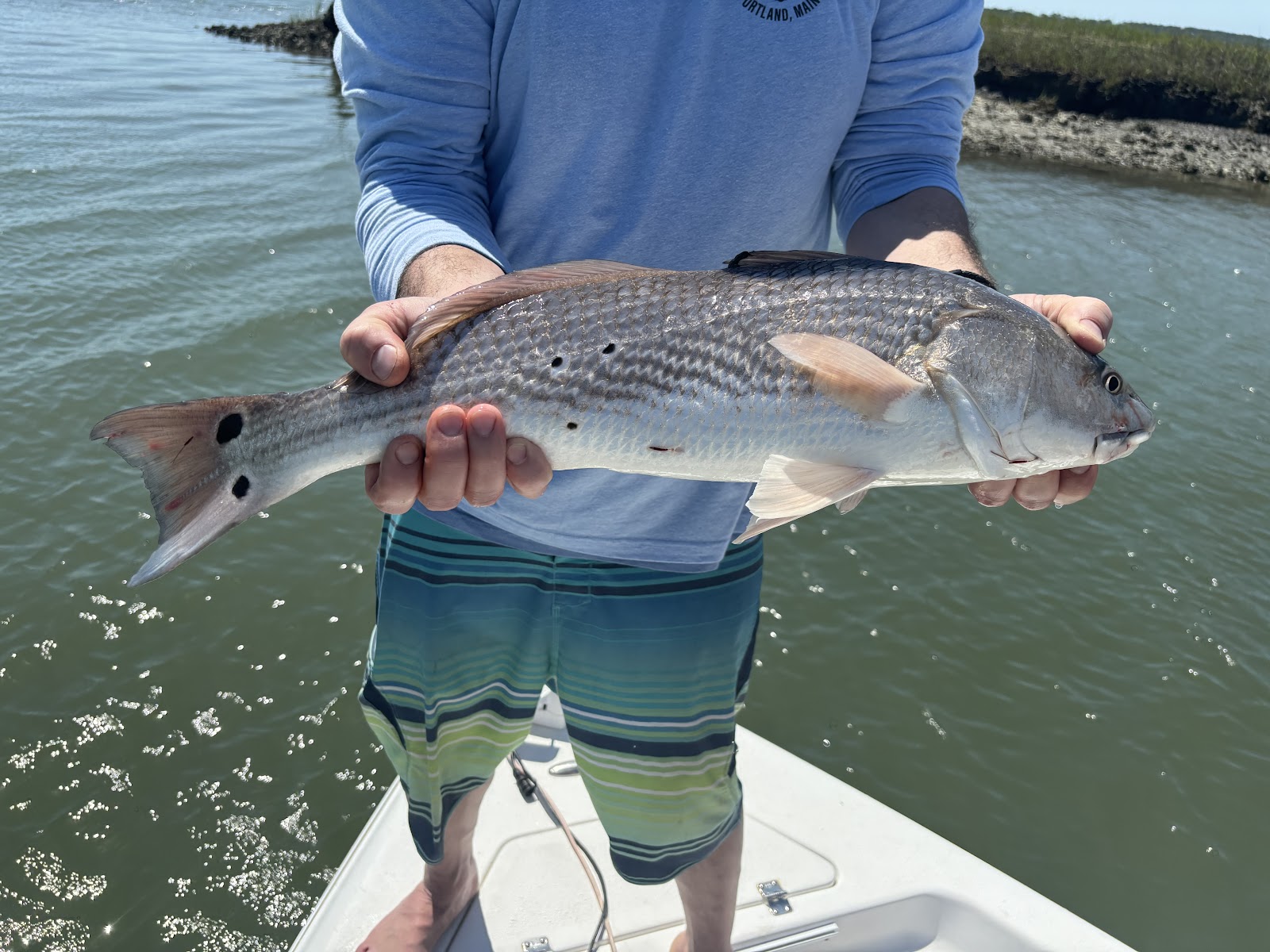 Charleston Charters (Private Dolphin Cruise BYOB) — Activity in James Island, Charleston, SC