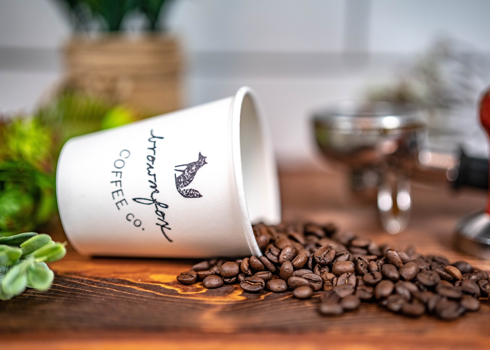 Brown Fox Coffee — Coffee in old-village