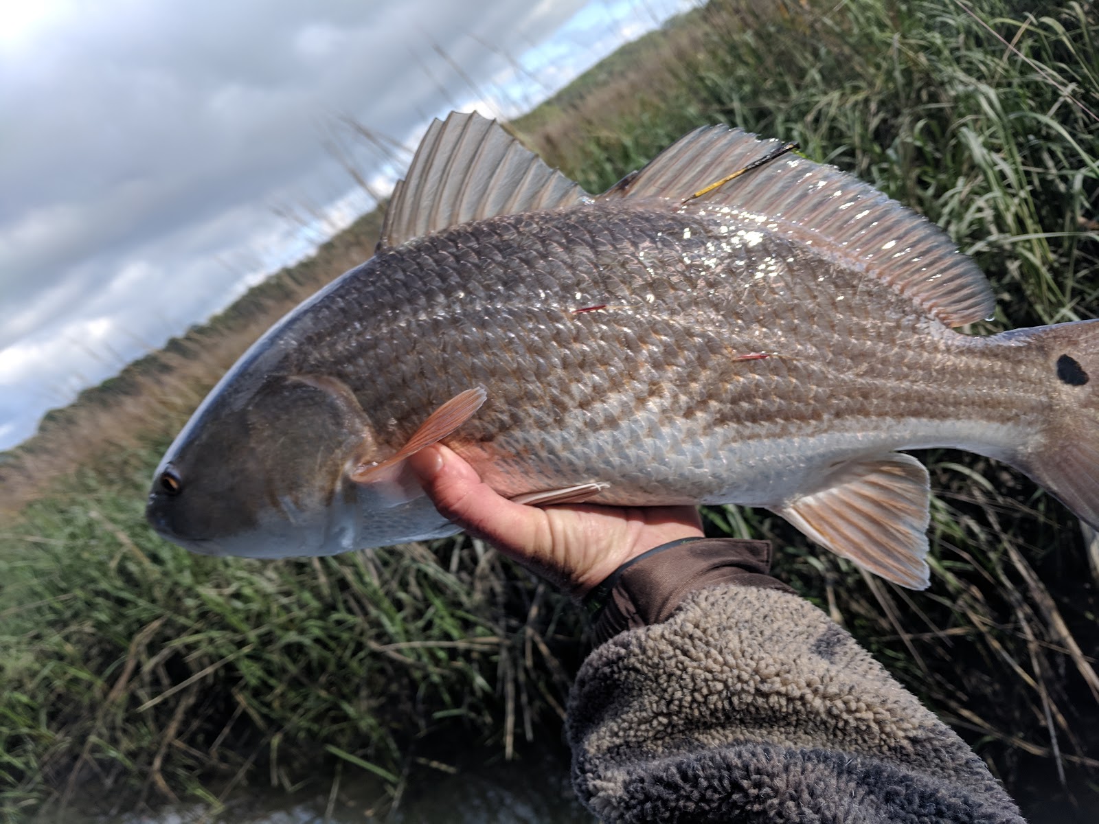 Affinity Charleston Fishing Charters — Boating Spot in Johns Island, Charleston, SC