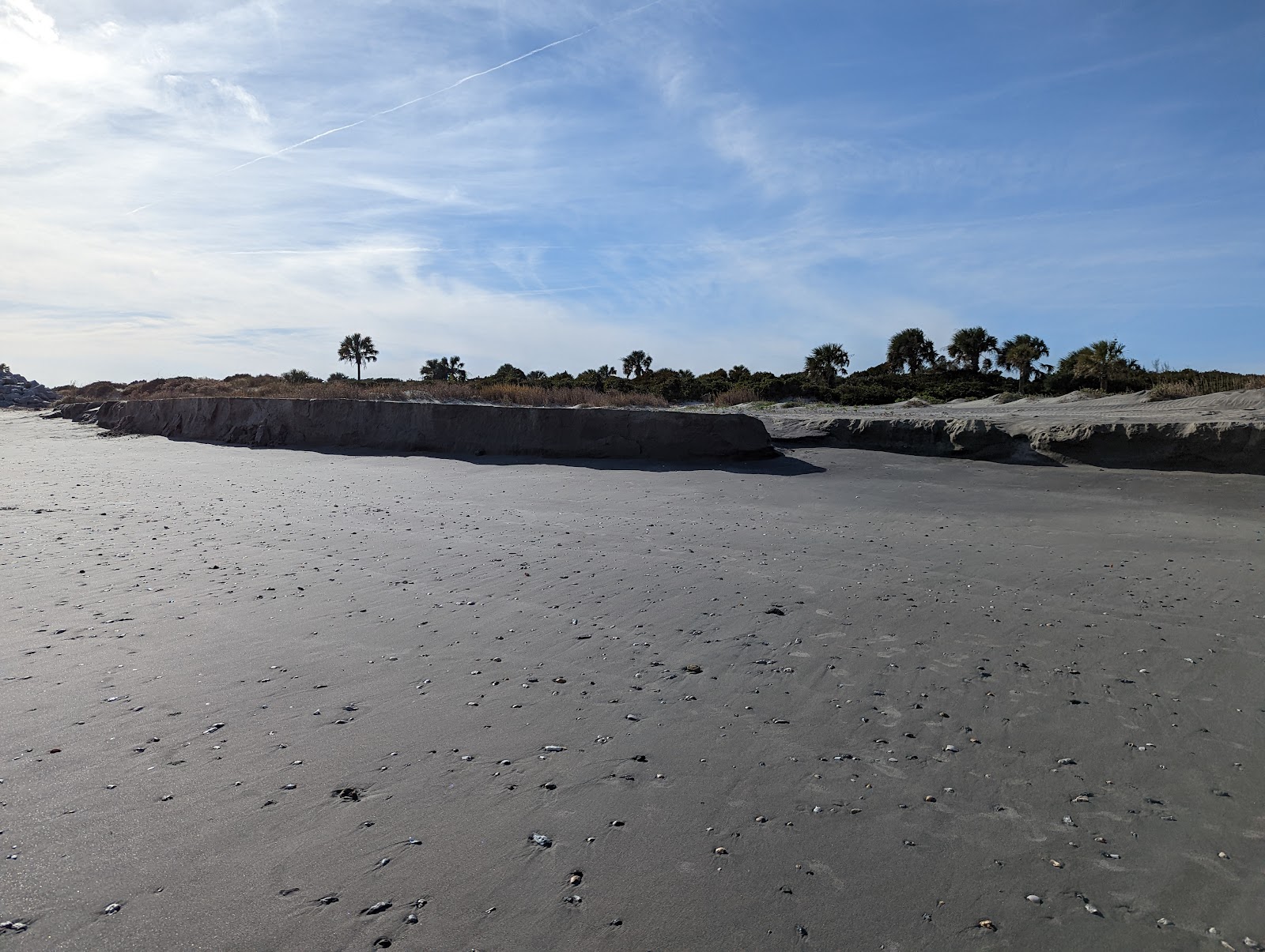 Adventure Harbour Tours — Activity in Downtown, Charleston, SC