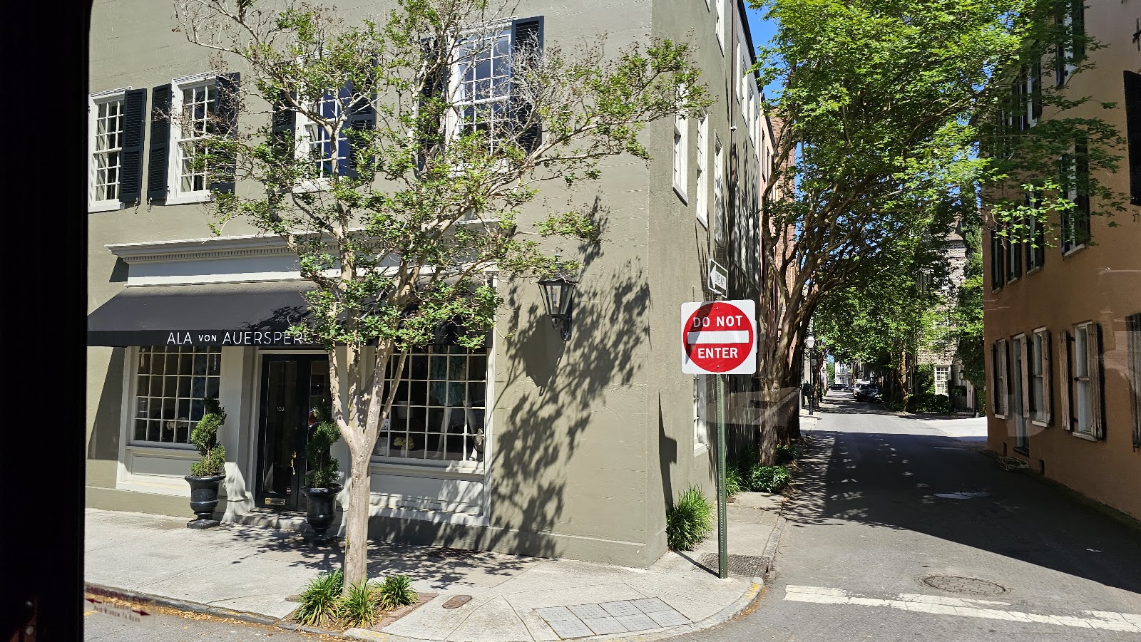 Dog & Horse Fine Art and Portraiture — Gallery in Downtown, Charleston, SC