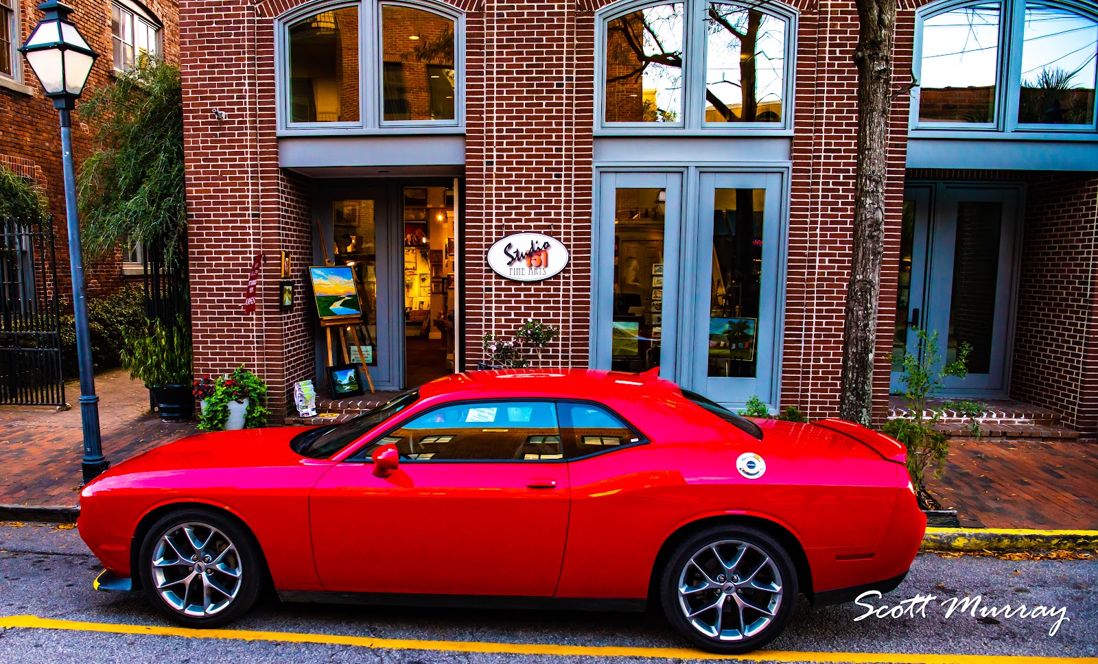 Studio 151 Fine Art Gallery — Shop in Downtown, Charleston, SC