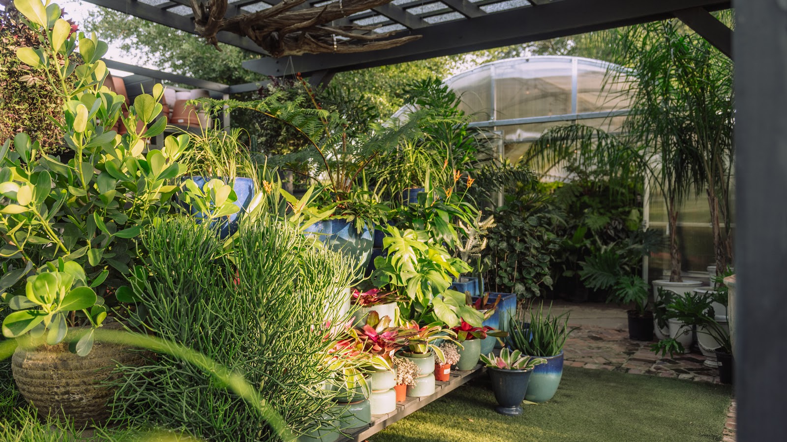 Meeting Green — Shop in Downtown, Charleston, SC