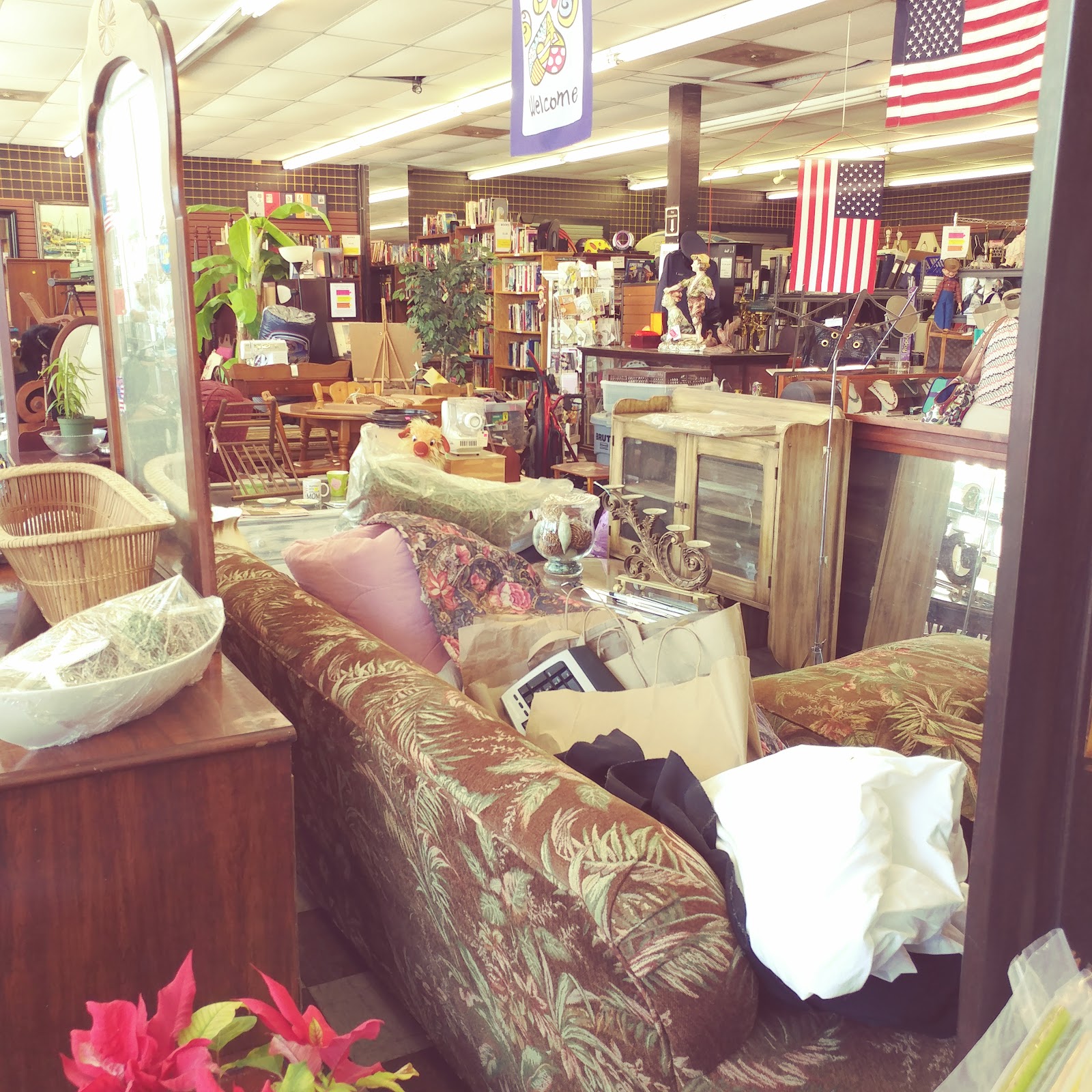 Animal Helpers ReTAIL — Shop in West Ashley, Charleston, SC