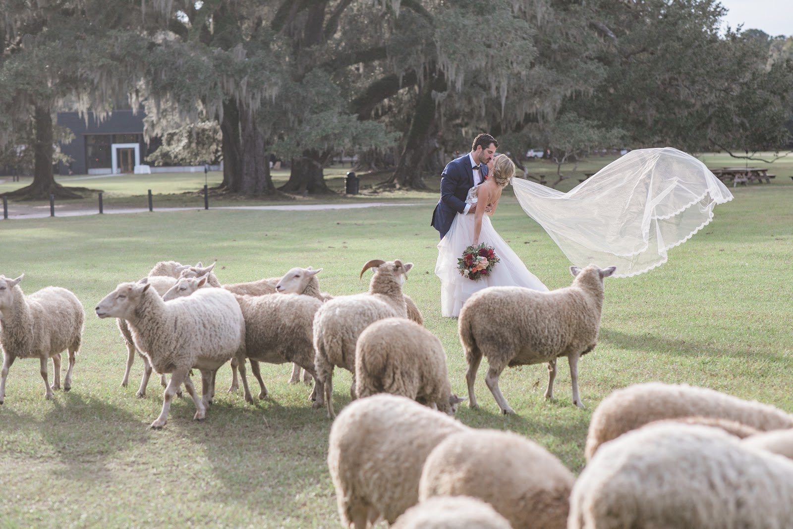 Taylor Jordan Photography — Wedding Pro in Downtown, Charleston, SC