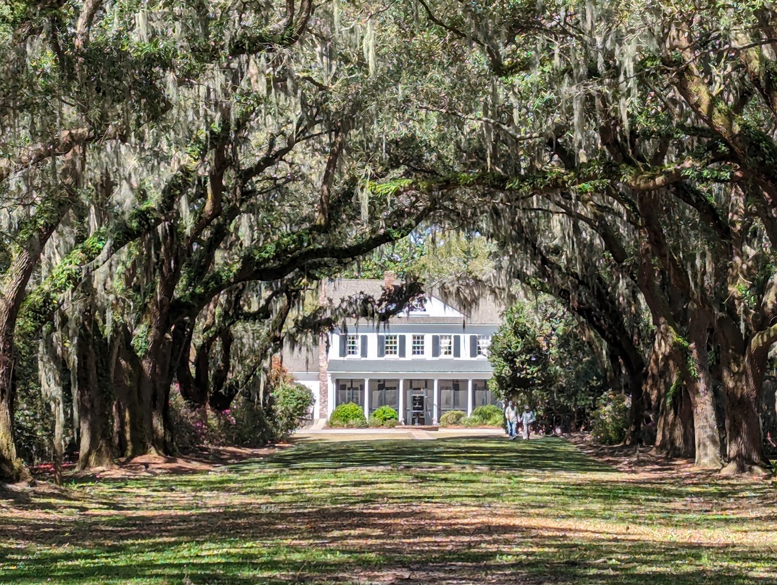 Charles Towne Landing State Historic Site — Activity in West Ashley, Charleston, SC