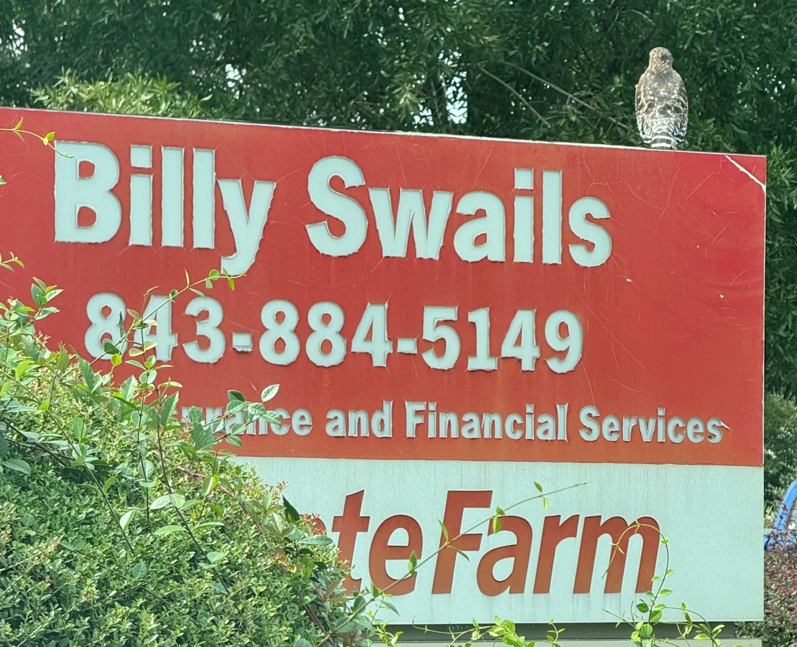 Billy Swails - State Farm Insurance Agent — Real Estate Pro in Charleston, SC
