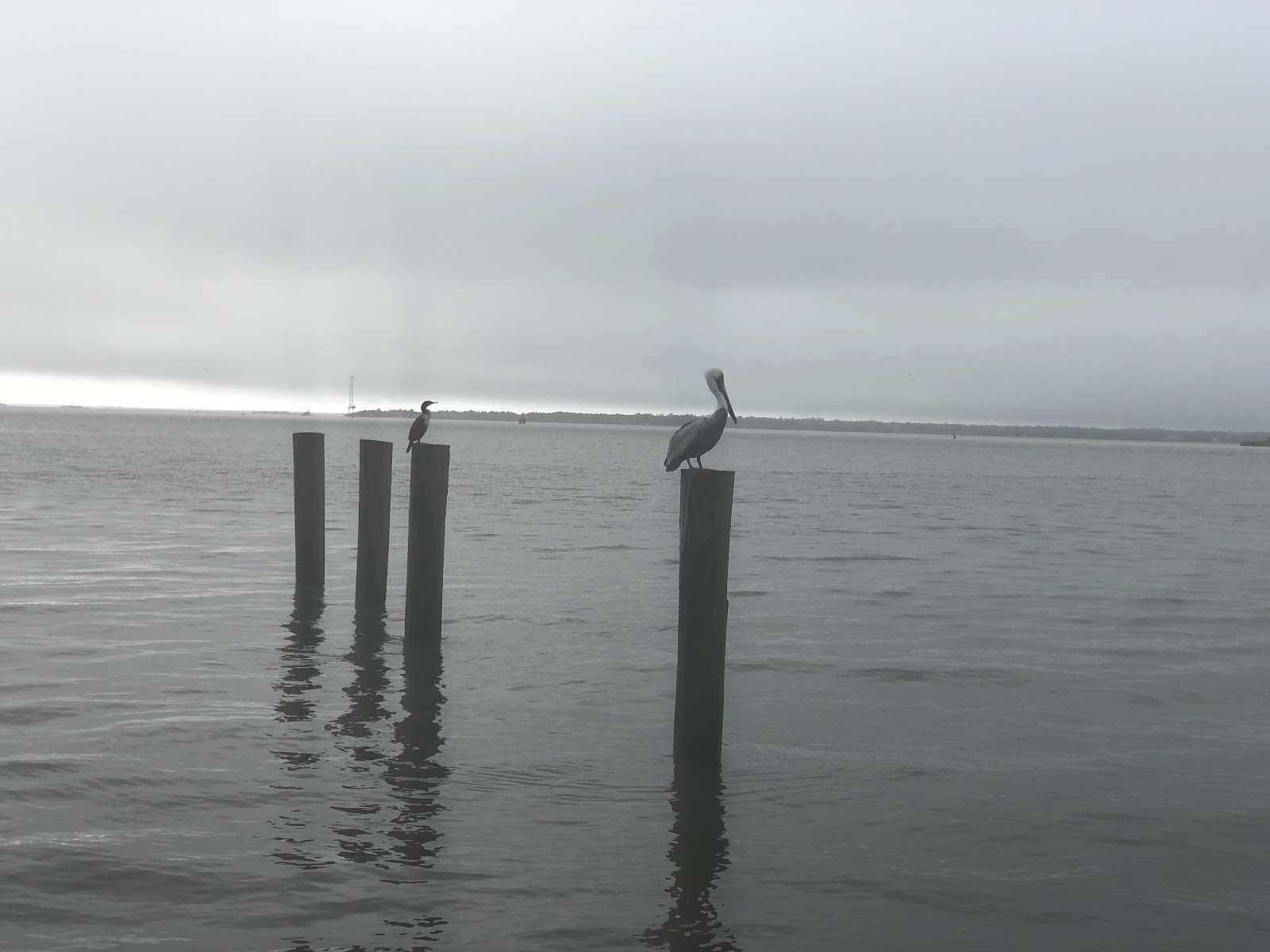 Freedom Boat Club - Mt. Pleasant, SC — Boating Spot in Downtown, Charleston, SC