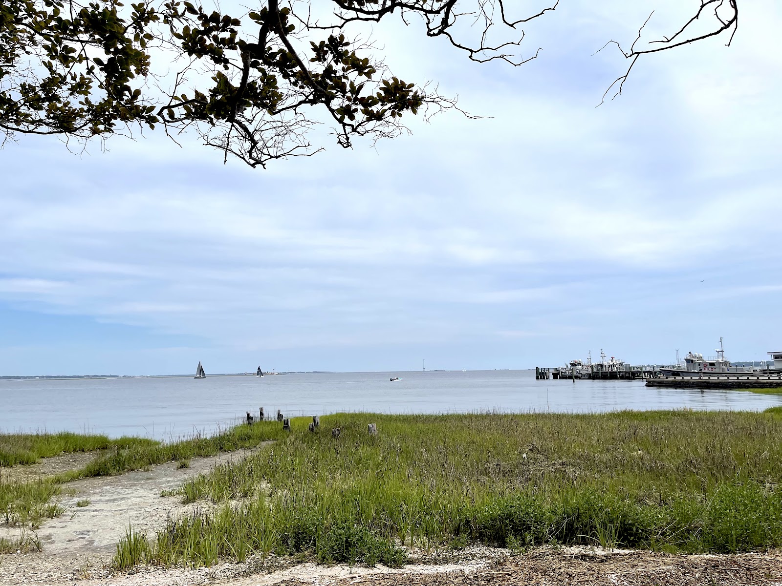 Charleston Walking Tours by Charleston Footprints — Activity in Downtown, Charleston, SC