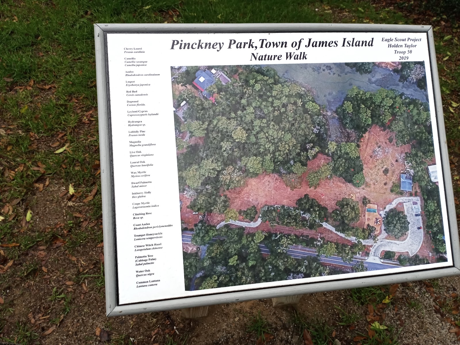 Pinckney Park — Activity in Downtown, Charleston, SC