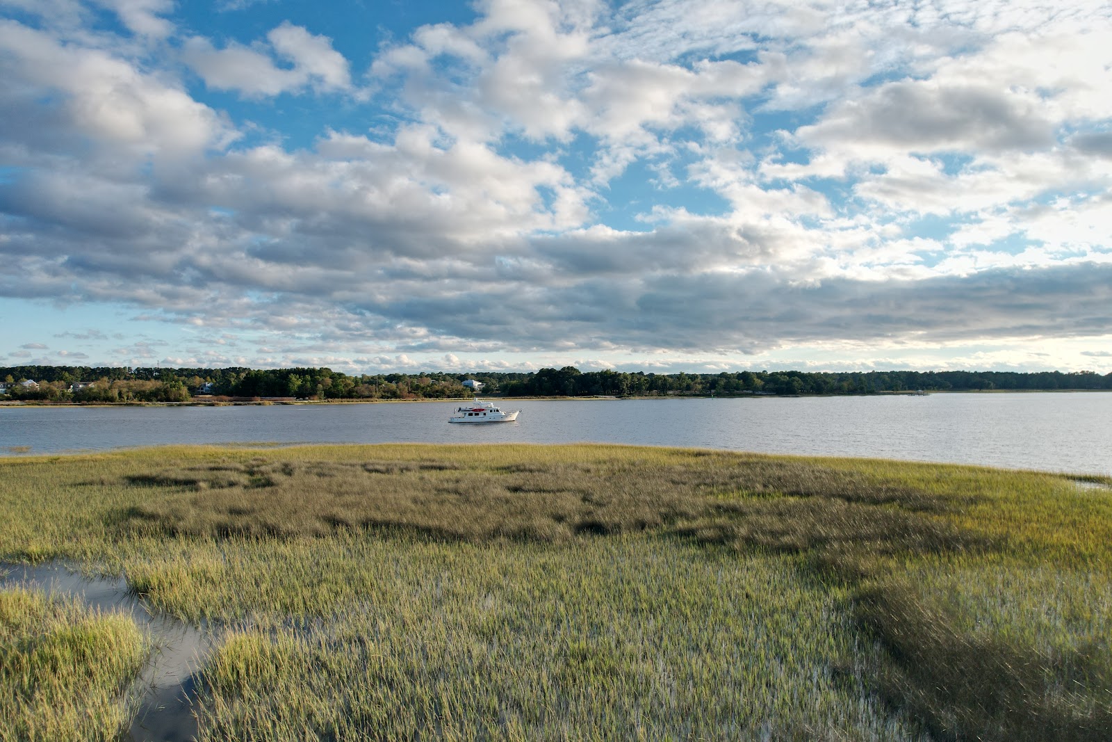 Stono River County Park — Activity in West Ashley, Charleston, SC